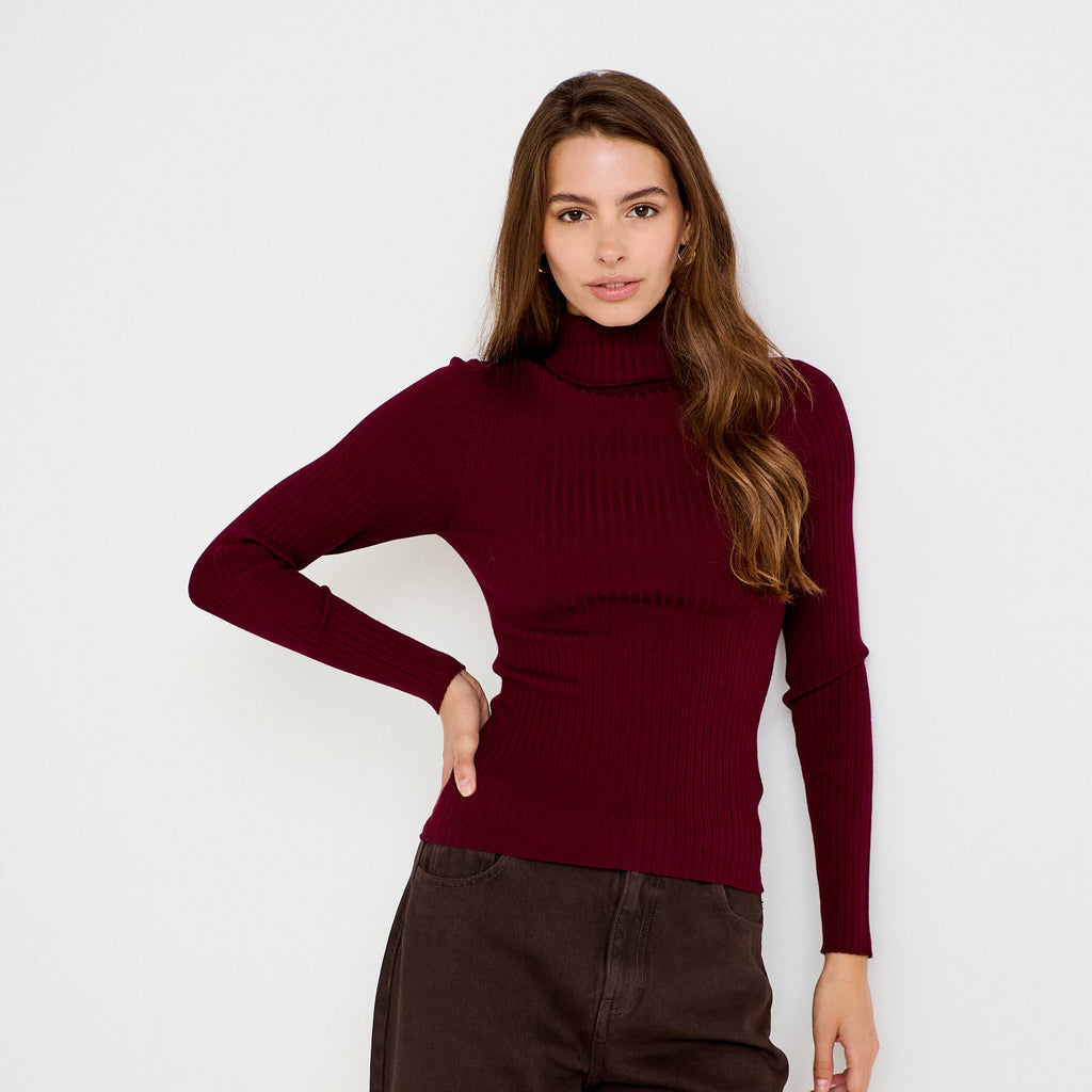 Ribbed Turtleneck Sweater in Burgundy, view 1